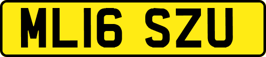 ML16SZU