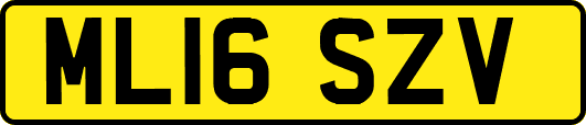 ML16SZV