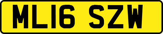 ML16SZW