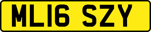 ML16SZY