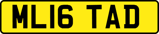 ML16TAD