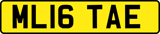 ML16TAE