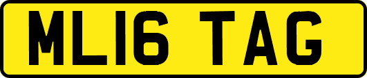 ML16TAG