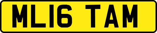 ML16TAM