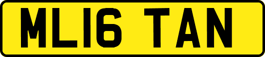 ML16TAN