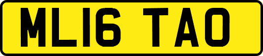 ML16TAO