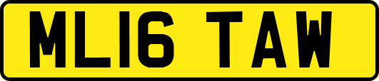 ML16TAW