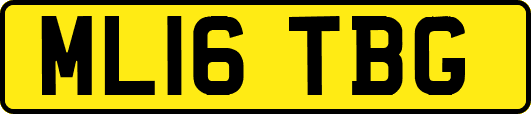 ML16TBG