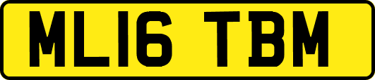 ML16TBM