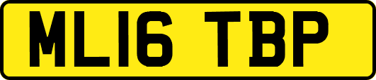 ML16TBP