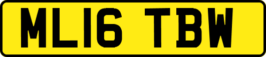 ML16TBW