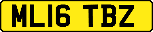 ML16TBZ