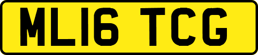 ML16TCG