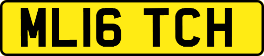 ML16TCH