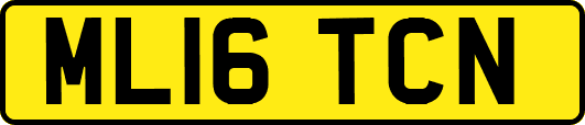 ML16TCN