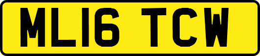 ML16TCW