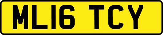 ML16TCY