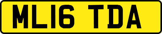 ML16TDA