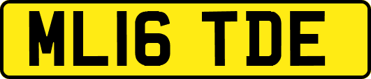 ML16TDE