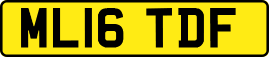 ML16TDF