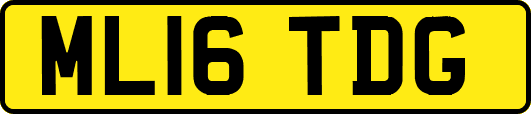 ML16TDG