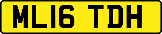 ML16TDH