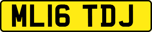 ML16TDJ