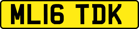 ML16TDK