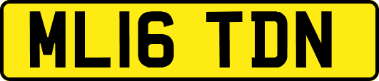 ML16TDN