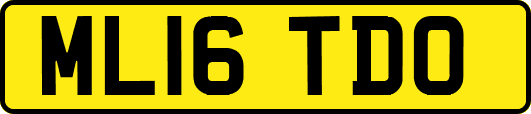 ML16TDO