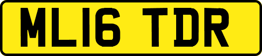ML16TDR