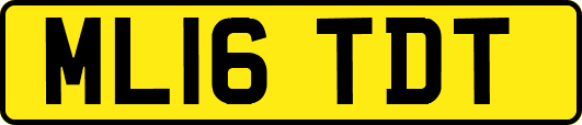 ML16TDT