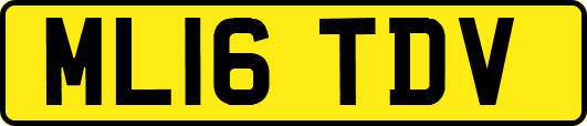 ML16TDV