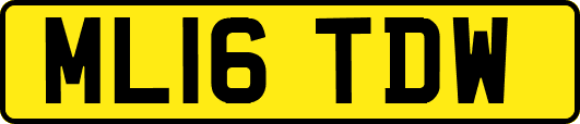 ML16TDW