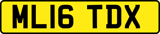 ML16TDX