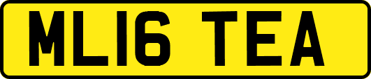 ML16TEA