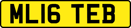 ML16TEB
