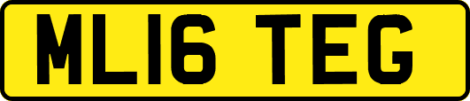 ML16TEG