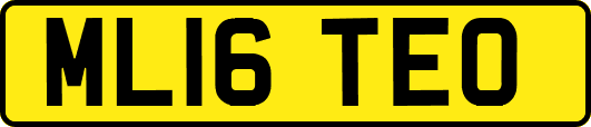 ML16TEO