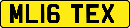 ML16TEX