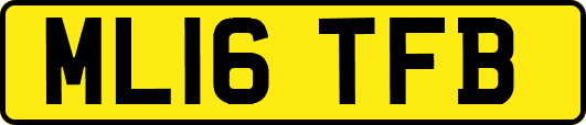 ML16TFB