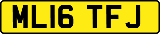 ML16TFJ