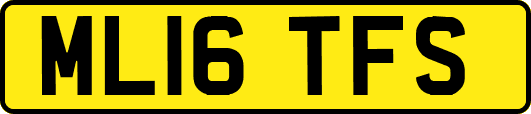 ML16TFS