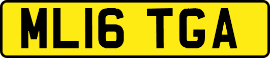 ML16TGA