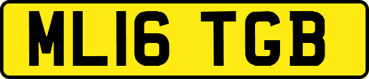 ML16TGB