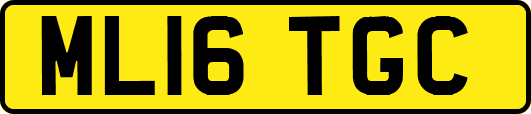ML16TGC