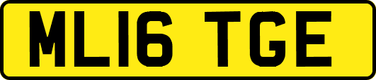 ML16TGE