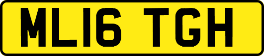 ML16TGH