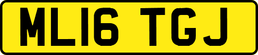 ML16TGJ