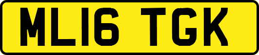 ML16TGK